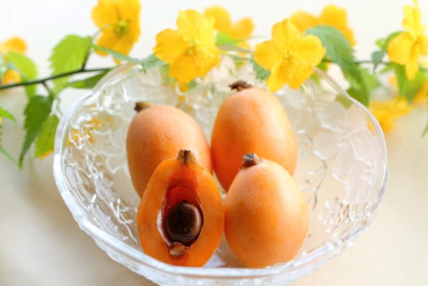 The Hidden History of Japanese Fruits: Exploring the Empire of Taste Behind Asia’s Most Coveted&nbsp;Harvests